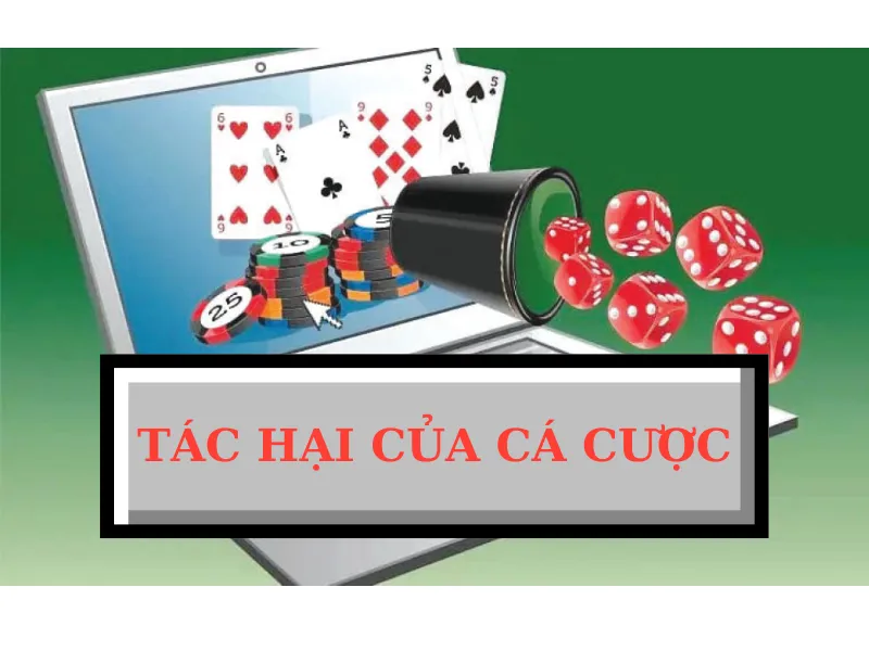 tác hại của cá cược